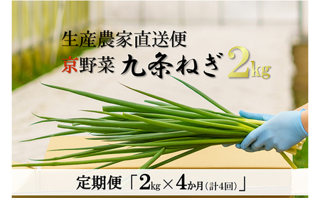 【4か月定期便】生産農家直送 京野菜・九条ねぎ2kg〈定期便 ねぎ ネギ 葱 九条ねぎ 京野菜 京都 新鮮 甘い 農家直送 野菜〉 4ヶ月 4回 
