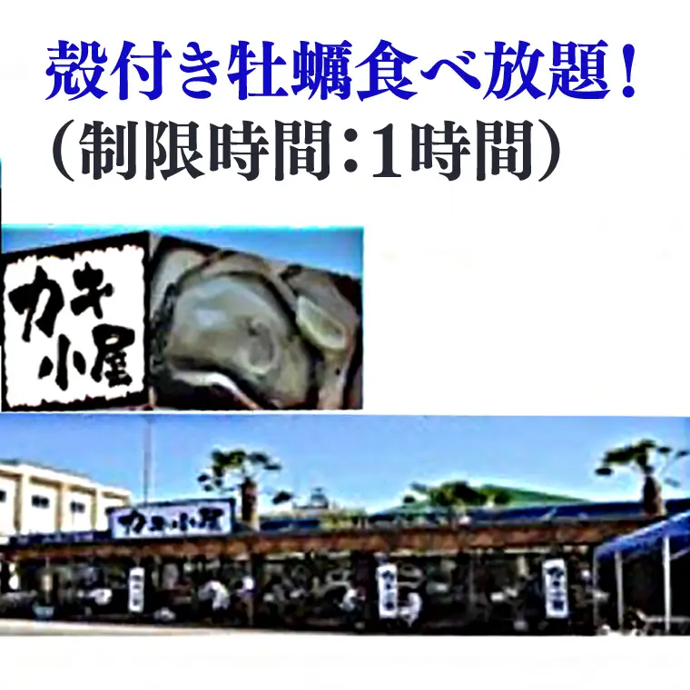 大洗 カキ小屋 カキ食べ放題 ペアチケット 大人2名様 牡蠣 _AN012