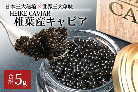 【桐箱入り】HEIKE CAVIAR 5g【宮崎県 椎葉村】チョウザメ キャビア【世界三大珍味×日本三大秘境】国産 チョウザメ キャビア 5g 魚卵 魚介 珍味 SZ-118