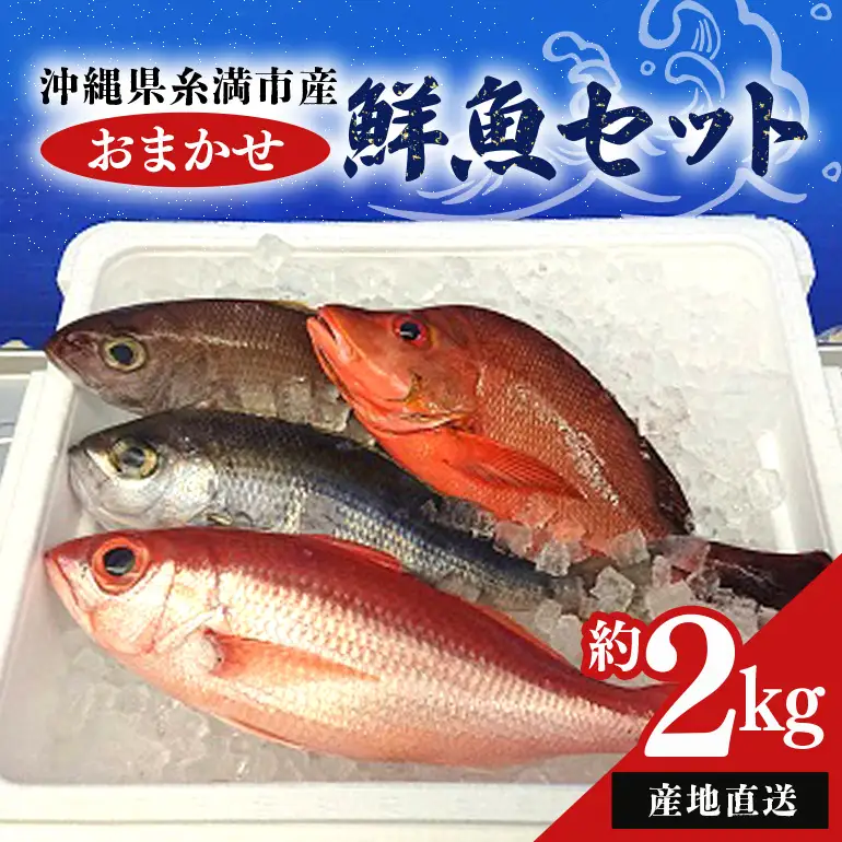 【 産地直送 】【漁師まちの鮮魚店厳選】おまかせ 鮮魚 セット(約 2kg ) お魚 魚 詰め合わせ 下処理済み (内臓・ウロコ除去済み) 急速冷凍 真空パック 沖縄 鮮魚セット 詰合せ 鮮魚店 厳選 お任せ 鮮度 産直 海鮮 加熱用 冷凍保存 沖縄県 糸満市