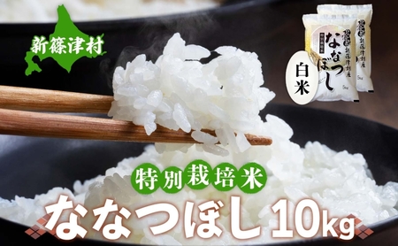 北海道 特別栽培 令和7年産 ななつぼし 10kg 精米 米 白米 お米  ごはん ご飯 ライス 道産米 ブランド米 新しのつ米 ふっくら 食味ランキング  産地直送 お取り寄せ カワサキ森田屋 送料無料  