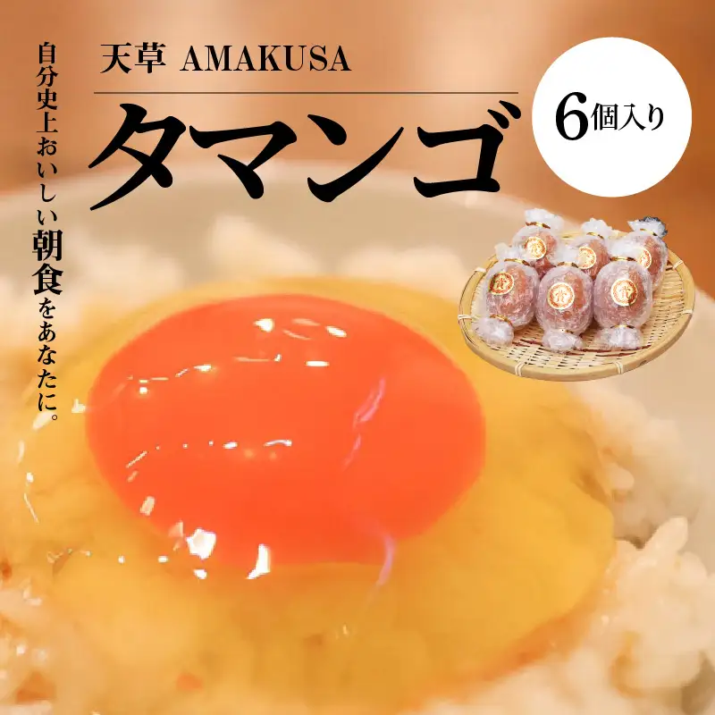 S038-001A_天草 タマンゴ 6個 卵 / 卵 たまご 卵かけご飯 高品質たまご