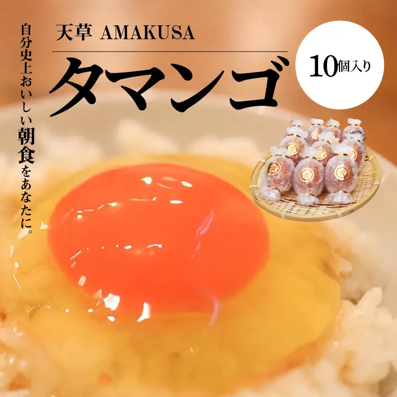 S038-004A_天草 タマンゴ 10個 卵 / タマンゴ 卵 10個