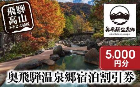 奥飛騨温泉郷 宿泊割引券 5,000円相当 宿泊券 GB003