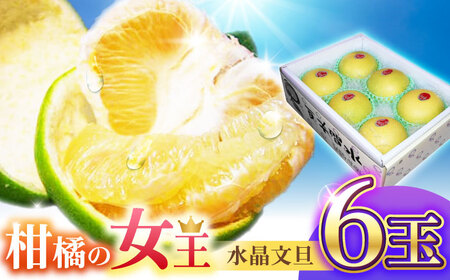 【先行予約】 南国土佐の女王柑橘 水晶文旦 約3kg 6玉入り〈2026年9月中旬～2026年12月中旬頃発送〉/ ぶんたん 文旦 3kg 3キロ フルーツ 高知 名物 果物 柑橘 ムッキー 【フルーツショップオザキ】[ATAH007]