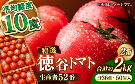 【先行予約】特選 徳谷トマト 約2kg 生産者52番 〈2026年1月中旬?2026年6月下旬頃発送〉/ トマト フルーツトマト 【フルーツショップオザキ】[ATAH014]