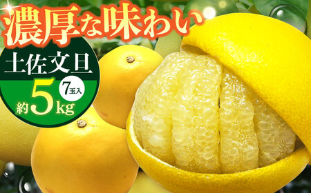 【先行予約】 南国高知温室土佐文旦 約5kg 7玉〈2026年11月中旬～2027年2月中旬頃発送〉/ 文旦 ぶんたん 5kg 5キロ 温室 果物 フルーツ デザート 柑橘 南国 土佐 高知 名物 名産 ムッキー 【フルーツショップオザキ】[ATAH016]
