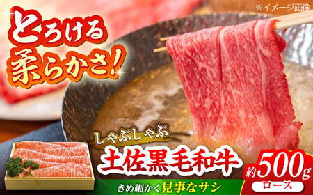 土佐黒毛和牛　ロースしゃぶしゃぶ用　約500g / とろけるやわらかさ 和牛 高知県産 国産和牛 牛肉 黒毛和種  【（有）蔵多堂】 [ATAE006]