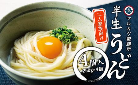 半生うどん 250g×4個 2人家族向け
