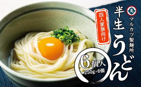 半生うどん 250g×6個 4人家族向け