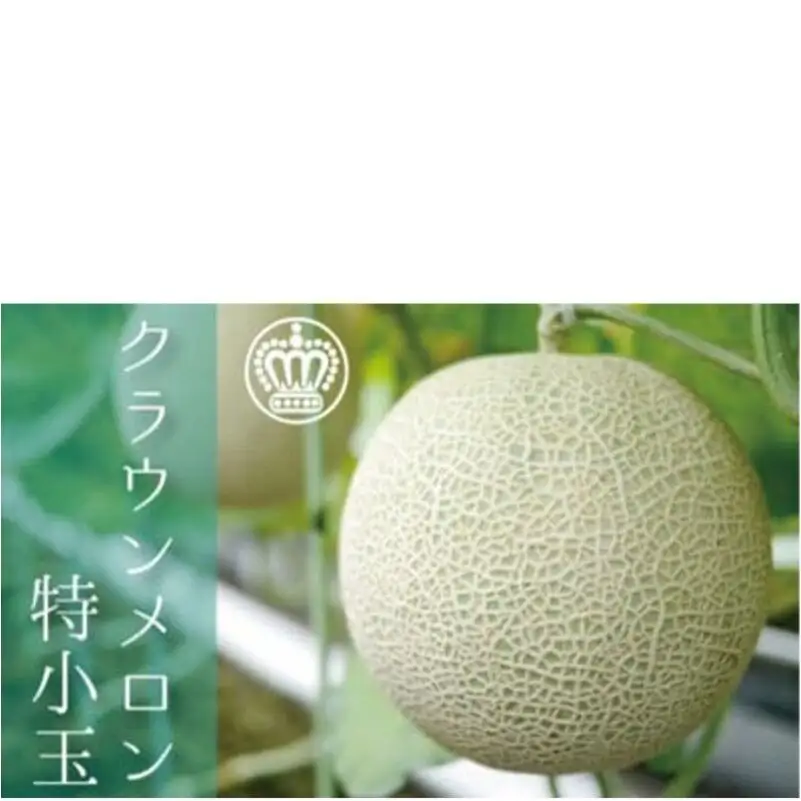 クラウンメロン（白等級）小玉　１玉入 果物類 メロン青肉 