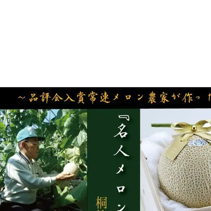 数量限定！『クラウンメロン ”名人メロン” 1玉 定期便3ヶ月』 【桐箱入】 メロン 人気 厳選 ギフト 贈り物 デザート グルメ フルーツ 果物 袋井市 果物類 メロン青肉 