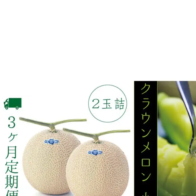 【3ヶ月定期便】クラウンメロン（白等級）小玉　２玉入　 果物類 メロン青肉 