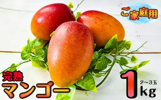 【先行予約】杉田農園 訳あり 西都市産 ご家庭用完熟マンゴー（２玉～3玉） 生産者直送 宮崎マンゴー　2026年発送＜38-1a＞