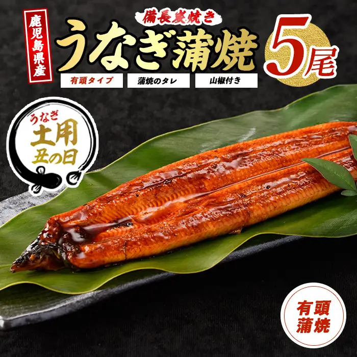 【丑の日に合わせてお届け！】鹿児島産鰻蒲焼5尾(奈良/IB020-002u) うなぎ