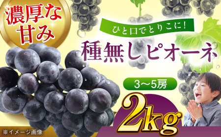 【2026年8月下旬より順次発送】種無しピオーネ2kg（3から5房）ピオーネ [AGBN014]
