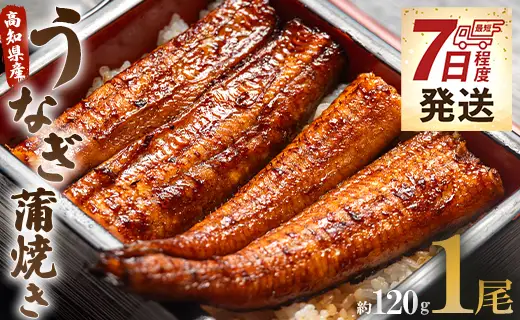 【 蒲焼き 】 うなぎ 1尾 120ｇ 蒲焼き un-0013