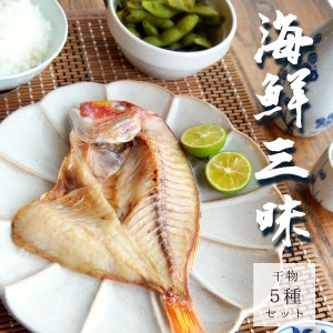海鮮干物 5種 詰め合わせ セット アジ イワシ ニギス 連子鯛 干物セット 一夜干し
