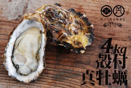 殻付き真牡蠣 4kg 30〜45個 朝どれ直送 牡蠣 かき 【配送不可地域：北海道、沖縄、離島】