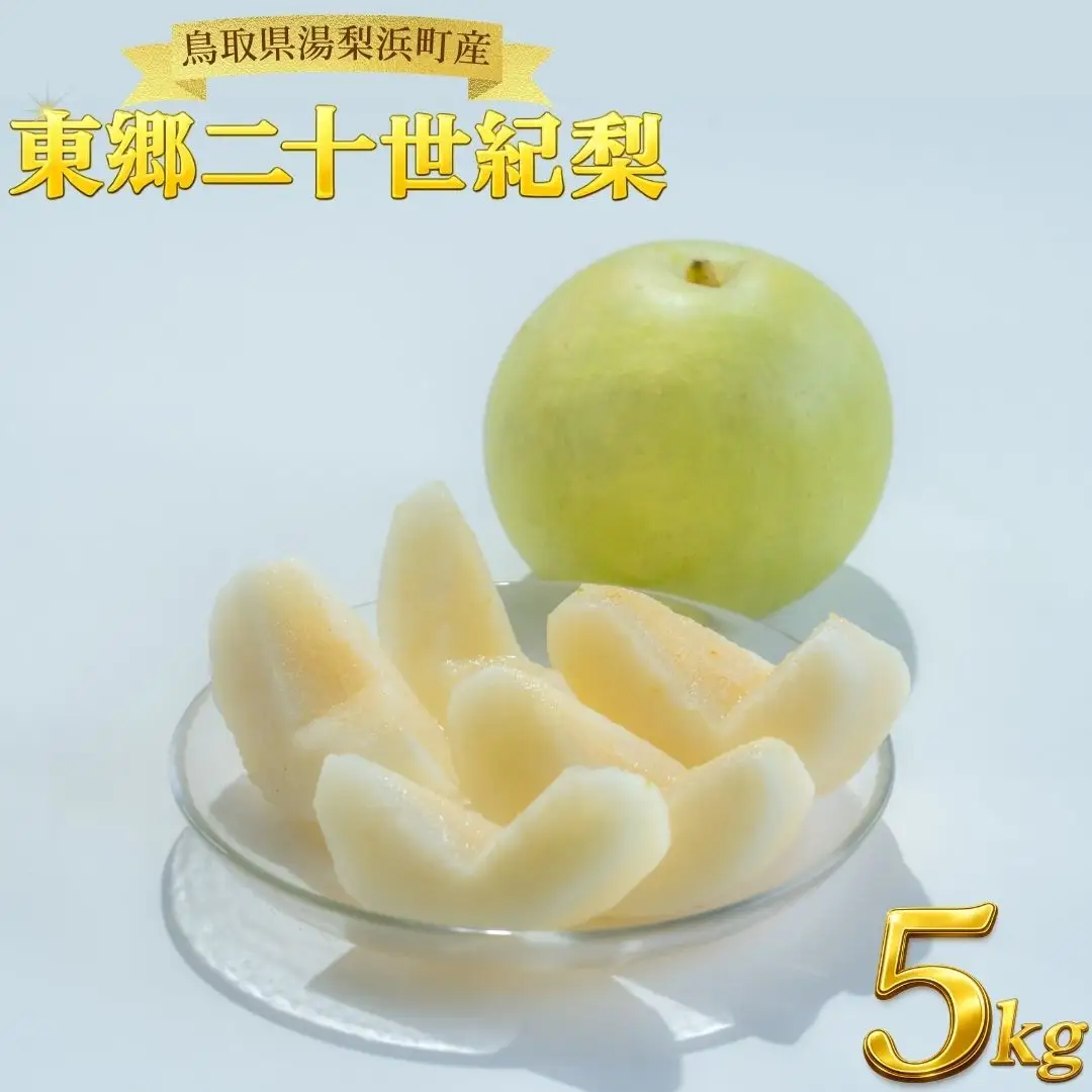 梨 東郷 二十世紀 5kg 鳥取県産 | 4M