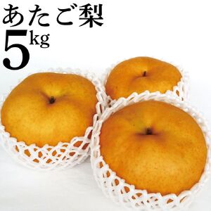 梨 あたご 愛宕 5kg 鳥取県産 | 14M