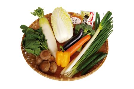 産地直送 採れたて 野菜 旬 夢の箱 セット | 109M