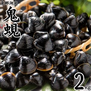 大粒 しじみ 東郷湖産 鬼蜆 特大 冷凍 2kg | 砂抜き不要 58M