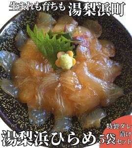 ひらめ 元気 漬丼 5袋 セット 鳥取県 平目 ヒラメ 湯梨浜 | 63M