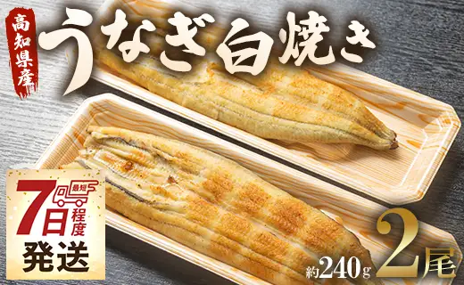 高知県産 うなぎ 白焼き 2尾 計240g（パック個包装）｜白焼き un-0017