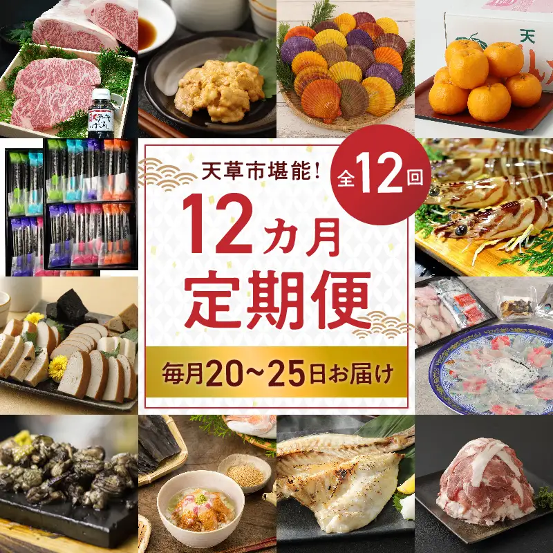 S999-T04_【定期便12回】天草市堪能12ヵ月定期便