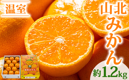 【6〜8月発送】山北温室みかん 1.2kg ミカン蜜柑 ku-0050