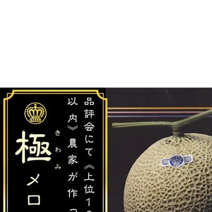 【12ヶ月定期便】数量限定！『クラウンメロン ”極メロン” 1玉 』 ギフト箱入り メロン 静岡 マスクメロン フルーツ 果物 デザート 12回 