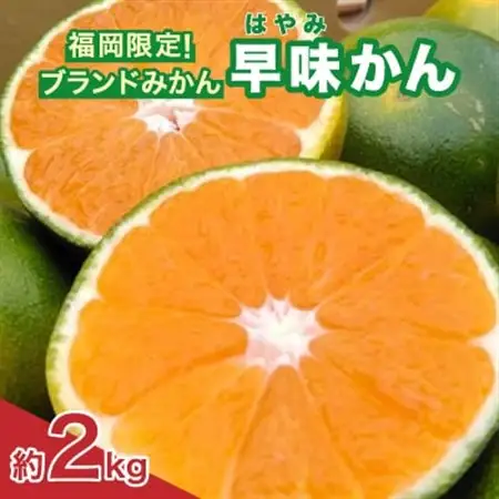 【先行受付】福岡限定!オリジナルブランドみかん「早味かん」約2kg(大野城市)_フルーツ 柑橘 ミカン 蜜柑 果物 くだもの 美味しい 人気 送料無料 柑橘類_【配送不可地域：離島】【1091055】