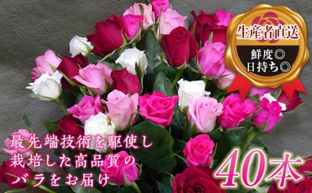 バラの花束（約40本） F20E-685