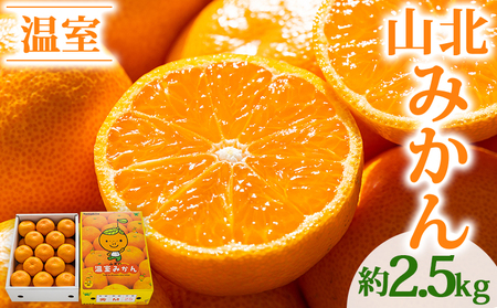 【秀品】山北温室みかん 約2.5kg ミカン蜜柑 ku-0051