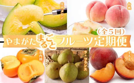 《2026年発送先行予約》やまがたまるごとフルーツ定期便（全5回） もも モモ 桃 デザート フルーツ 果物 くだもの 果実 食品 山形県 FSY-2598