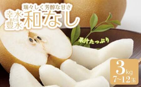 《先行予約 2026年度発送》和なし（幸水または豊水）3kg 7～12玉 なし ナシ 梨 デザート フルーツ 果物 くだもの 果実 食品 山形県 FSY-0513