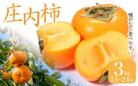 《先行予約 2026年度発送》庄内柿 3kg 15～24玉 柿 かき デザート フルーツ 果物 くだもの 果実 食品 山形県 FSY-2600