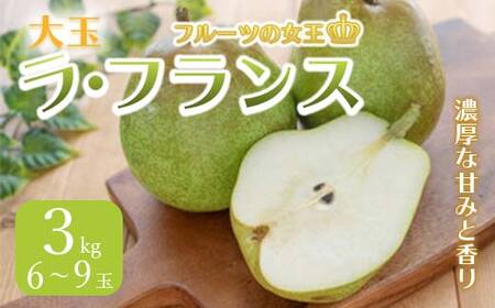 《先行予約 2026年度発送》大玉ラ・フランス 3kg 6~9玉 なし ナシ 梨 デザート フルーツ 果物 くだもの 果実 食品 山形県 FSY-0515
