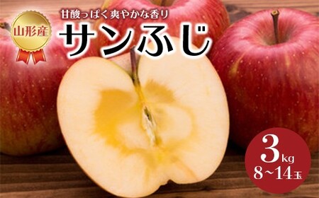 《先行予約 2026年度発送》サンふじ 3kg 8~14玉 りんご リンゴ 林檎 デザート フルーツ 果物 くだもの 果実 食品 山形県 FSY-0516