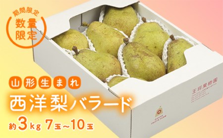 《先行予約 2026年度発送》【王将果樹園】西洋梨バラード3kg 洋梨 なし ナシ 梨 デザート フルーツ 果物 くだもの 果実 食品 山形県 FSY-0062