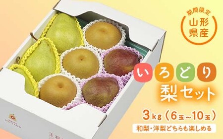 《先行予約 2026年度発送》【王将果樹園】いろどり梨セット なし ナシ 梨 デザート フルーツ 果物 くだもの 果実 食品 山形県 FSY-2565