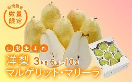 《先行予約 2026年度発送》【王将果樹園】洋梨マルゲリット・マリーラ 3kg なし ナシ 梨 デザート フルーツ 果物 くだもの 果実 食品 山形県 FSY-2569