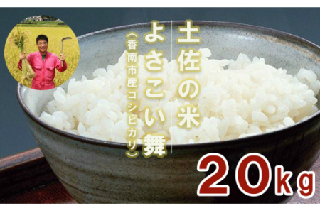 おいしいコシヒカリ！土佐の米 よさこい舞 20kg【こしひかり 米 コシヒカリ 米 土佐の米 精米 こしひかり 米 こしひかり】 kr-0044