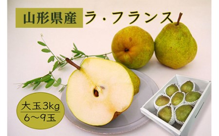 《先行予約 2026年度発送》【大玉】【山形県産】ラ・フランス3kg（6～9玉/4L～7L） なし ナシ 梨 デザート フルーツ 果物 くだもの 果実 食品 山形県 FSY-0405