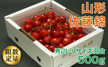《先行予約》旬大粒♪山形産さくらんぼ佐藤錦☆秀2L・Lサイズ混合☆500gバラ詰【6月上旬～6月下旬発送】 FSY-0422