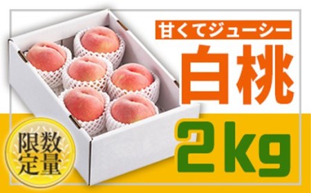 【先行予約 2026年度発送】フルーツ王国山形♪白桃秀品2kg FSY-2550