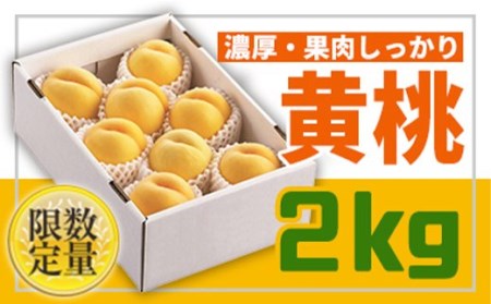 【先行予約 2026年度発送】山形黄金色の桃♪ 黄桃 秀品 2kg FSY-2551