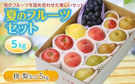 《先行予約 2026年度発送》夏のフルーツセット5kg もも モモ 桃 デザート フルーツ 果物 くだもの 果実 食品 山形県 FSY-2564