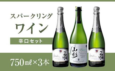 スパークリング 辛口セット F2Y-4355